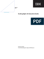 Scaling Agile An Executive Guide Feb 2010 Scott Ambler