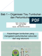 Bab 1 - Organisasi Tisu Tumbuhan Dan Pertumbuhan