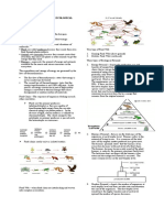 Food Chain, Food Web and Ecological Pyramid