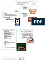 Emfermedades Periodontales Odontologia