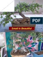 Small Is Beautiful - Bonsai
