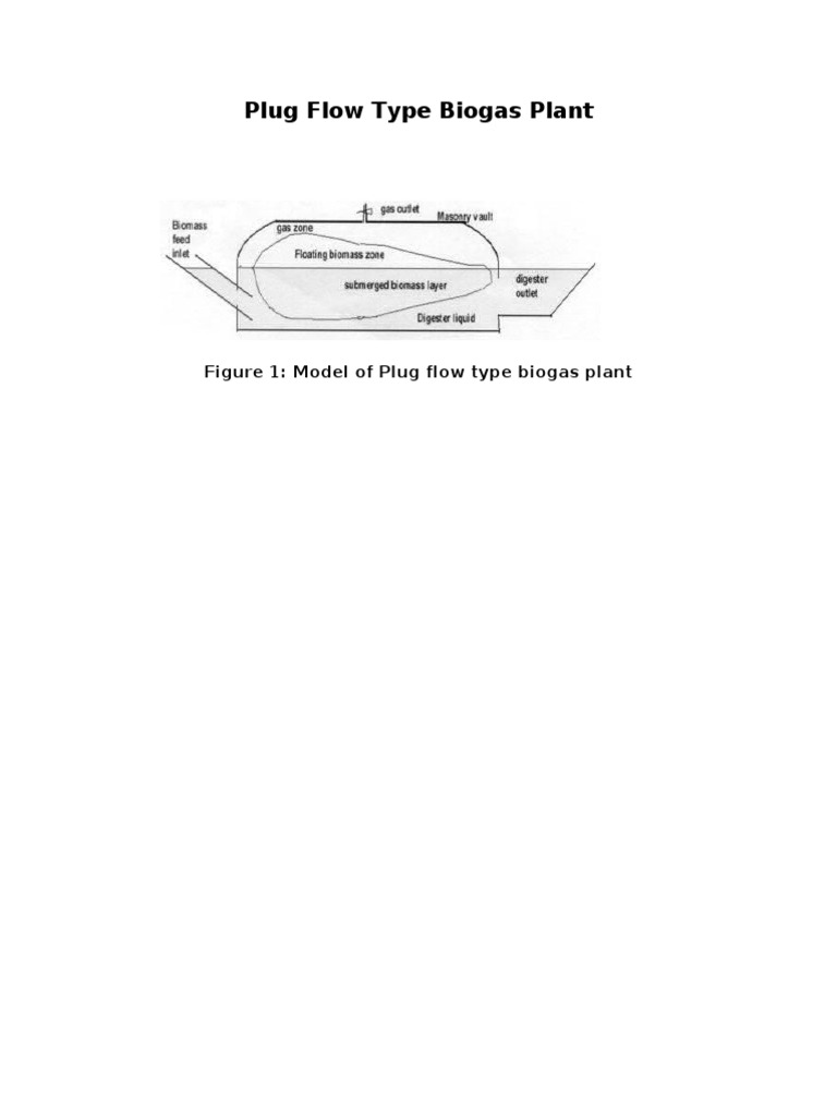 Plug Flow Biogas Plant Design Guide | PDF | Anaerobic Digestion | Biogas