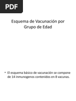 Download Esquema de Vacunacin por Grupo de Edad by Pepe House SN49371196 doc pdf