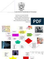 LENGUAJE MAPA