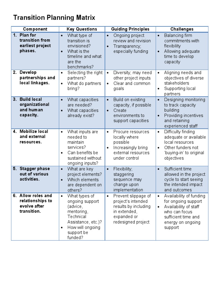 Transition Planning Matrix Overview | PDF | Finance & Money Management