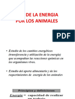 CALCULOS ENERGIA 2020