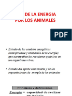 Calculos Energia 2020