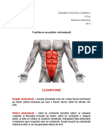 Tonifierea muschilor abdominali