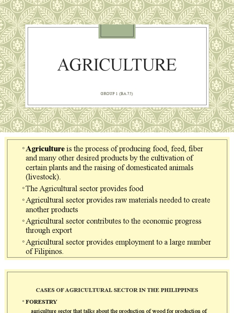 Bsa A Ba75 Agriculture Group1 PDF Livestock Depreciation
