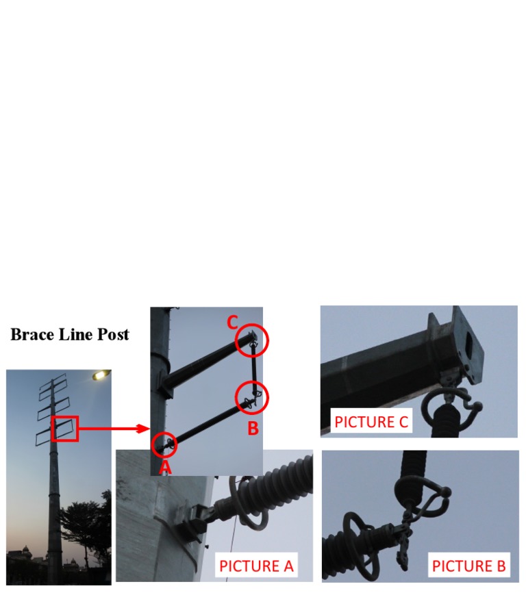 BLP | PDF