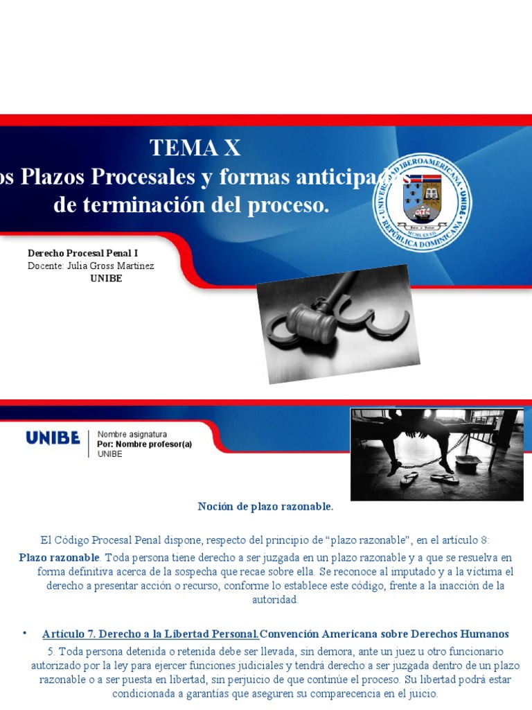 2015 12 03 TEMA X. Los Plazos Procesales y Formas Anticipadas de ...