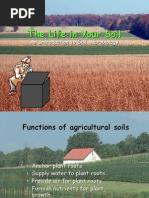 Download Introduction to Soil Microbiology by Fa Qistina SN49376911 doc pdf