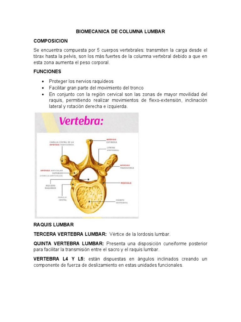 Biomecanica de Columna Lumbar | PDF | La columna vertebral | Dolor lumbar