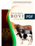 enciclopedia bovina  - unam