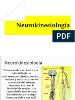 Neurokinesiologia 2010