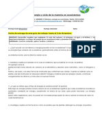 1°M Biología. Guía de Trabajo. Flujo de Energía y Ciclo de La Materia en Ecosistemas