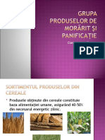 Grupa Produselor de Morărit Şi Panificaţie