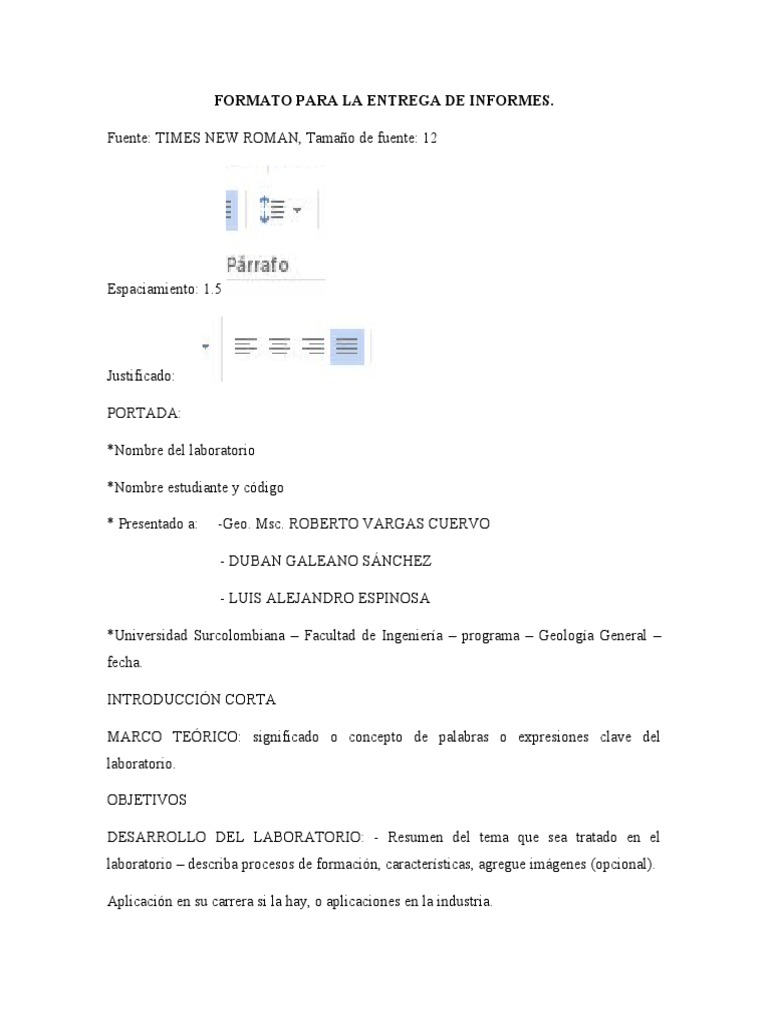 Formato de Entrega de Informes | PDF