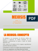 Meiosis Presentación 8