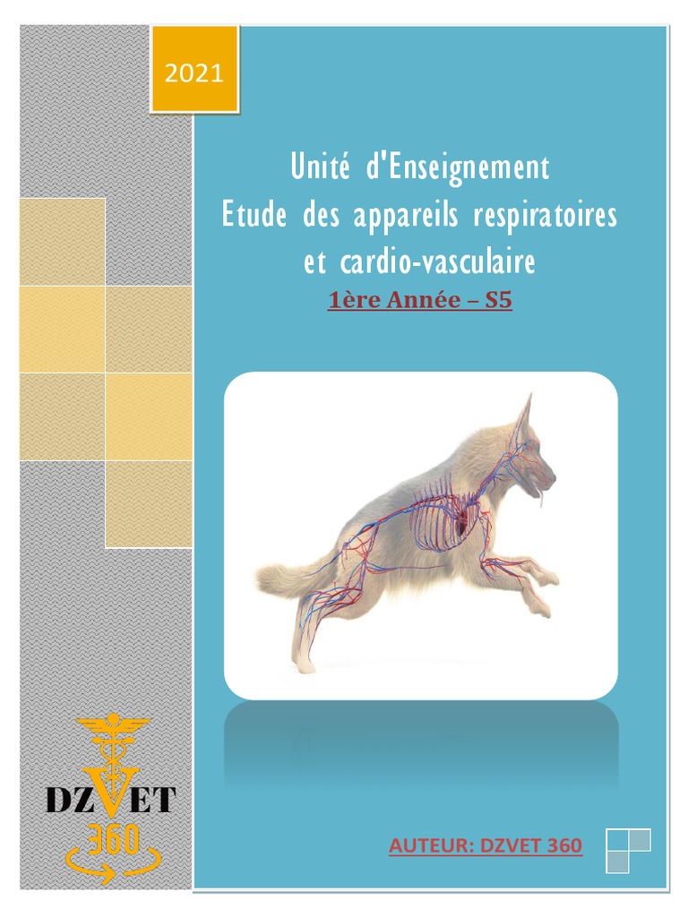 Schéma Plan Sagittal De L animal Vertébré à Respiration Aérienne S5 - Etude Des Appareils Respiratoires Et  Cardio-Vasculaire-DZVET360-Cours-Veterinaires | PDF