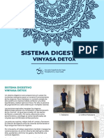 SISTEMA-DIGESTIVO-VINYASA-DETOX