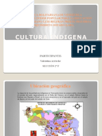 Cultura Indigena