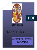 División Celular