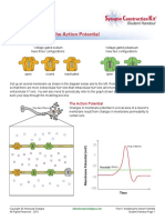 Part II: Modeling The Action Potential: Student Handout