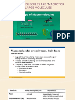 Carbohydrates Proteins and Lipids