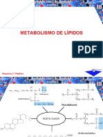 Metabolismo de Lípidos I