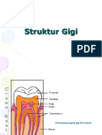 Struktur Gigi