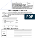 Sistema Circulatorio