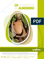 folleto-almendro