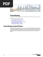 Transit Routing in The ACI Fabric