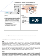 Tabla Comparativa Del Sistema Digestivo de Un Animal Poligastrico y Monogastrico