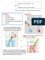 Laboratorio Ciencias