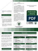 Trifoliar Profesorado 2019