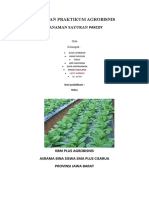 Agrobisnis-Pakcoy-WPS Office