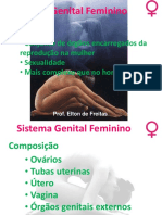 Aula Sistema Genital Feminino
