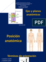 Ejes y Planos Anatomicos