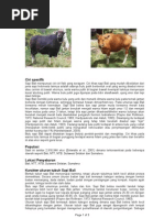 Download SAPI BALI BPUR by Anaphalis April SN49384379 doc pdf