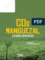 Co2-Manguezal