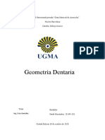 Geometría Dental