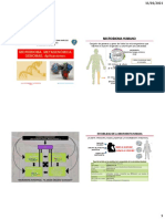 Clase TEORIA Semana 13 Microbioma Metagenomica NyN 2020-II Prof Acosta FINAL