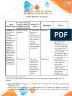 Matriz Resumen y Diagrama Causa Efecto _ Fabian Leonardo Larrota