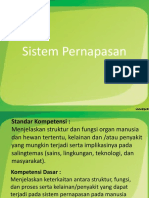 21287_Sistem Pernapasan (1)