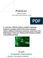 Praktikum