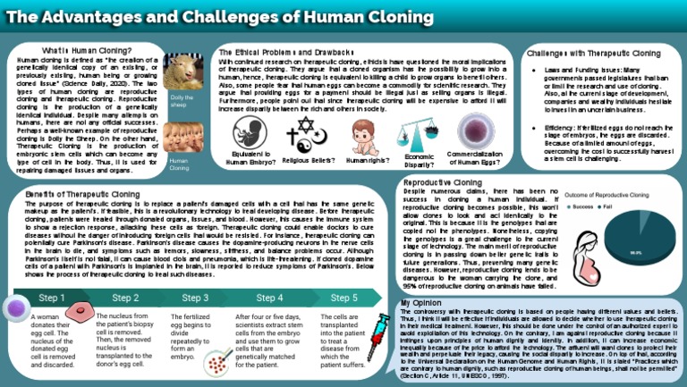 Therapeutic Cloning Insights | PDF | Cloning | Parkinson's Disease