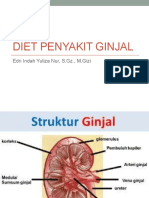 Diet Penyakit Ginjal: Edri Indah Yuliza Nur, S.GZ., M.Gizi