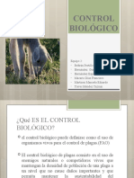 Control Biol - Gico de Malezas